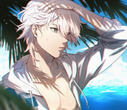 Rule 34 | 1boy, blurry, collarbone, commentary, danganronpa (series), danganronpa 2: goodbye despair, danganronpa s: ultimate summer camp, dated, depth of field, hair between eyes, hand on own head, hood, hood down, hoodie, jacket, komaeda nagito, long sleeves, male focus, meipoi, ocean, official alternate costume, open clothes, open jacket, open mouth, palm tree, sleeves past elbows, solo, symbol-only commentary, tree, twitter username, upper body, white hair, white jacket