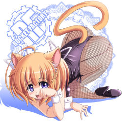 Rule 34 | 1girl, ahoge, all fours, animal ears, ass, blue eyes, cat ears, cat tail, fishnet pantyhose, fishnets, high heels, kittysuit, leotard, nontraditional playboy bunny, orange hair, original, pantyhose, paw pose, plantar flexion, pudding (tonpuu), pumps, shoes, short hair, solo, tail, tonpuu, wrist cuffs