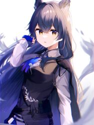 Rule 34 | 1girl, :o, animal ears, arknights, black cape, black vest, blue gloves, blurry, cape, chromatic aberration, collared shirt, crossed bangs, fingerless gloves, gloves, grey hair, hair between eyes, hand up, highres, long hair, long sleeves, looking at viewer, nishimiya aki, official alternate costume, parted lips, pouch, shirt, solo, texas (arknights), texas the omertosa (arknights), upper body, vest, white background, white shirt, wolf ears, wolf girl, yellow eyes