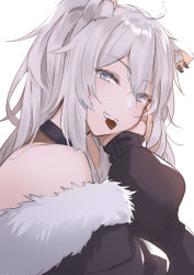 Rule 34 | 1girl, absurdres, ahoge, animal ears, bare shoulders, black jacket, chocolate, commentary request, fur-trimmed jacket, fur trim, grey eyes, grin, highres, hololive, ina (inadiary), jacket, lion ears, long hair, long sleeves, looking at viewer, mouth hold, off shoulder, shishiro botan, shishiro botan (1st costume), silver hair, simple background, smile, solo, teeth hold, upper body, virtual youtuber, white background