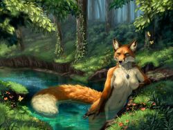 Rule 34 | 1girl, absurdres, animal ears, animal feet, aurru, blue eyes, bug, butterfly, day, field, flower, flower field, forest, fox ears, fox tail, furry, furry female, highres, insect, jewelry, large tail, leaf, long tail, nature, navel, necklace, nipples, nude, original, outdoors, pussy, snout, solo, stream, tail, third-party edit, water, whiskers