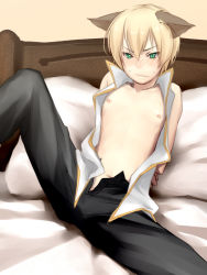 Rule 34 | 1boy, animal ears, arms behind back, black pants, blonde hair, blush, cat ears, closed mouth, commentary request, feet out of frame, green hair, high wizard (ragnarok online), kiribox, looking at viewer, male focus, nipples, on bed, open clothes, open shirt, pants, pillow, ragnarok online, shirt, short hair, sleeveless, sleeveless shirt, solo, white shirt