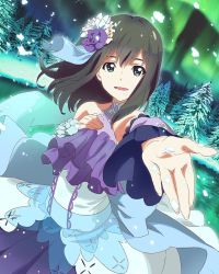 Rule 34 | 10s, 1girl, aurora, bare shoulders, brown hair, detached sleeves, dress, dutch angle, fir tree, flower, hair flower, hair ornament, hand on own chest, looking at viewer, official art, outstretched arm, shimada mayu, snow, snowing, solo, tree, wake up girls!, wake up girls! stage no tenshi, winter