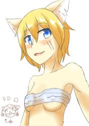 Rule 34 | 1girl, blonde hair, blue eyes, cat, female focus, furry, furry female, highres, open mouth, sarashi, seconds (2&#039;s), short hair, solo