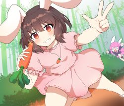 Rule 34 | 2girls, animal ears, arms up, bamboo, bamboo forest, black jacket, black sleeves, boots, brown footwear, brown hair, bush, carrot, carrot necklace, closed mouth, dress, food, forest, hair between eyes, hands up, highres, inaba tewi, jacket, jewelry, kaoling, leg up, long hair, long sleeves, looking at another, looking at viewer, multiple girls, nature, necklace, necktie, open mouth, orange eyes, pink dress, pink hair, pink skirt, pink sleeves, puffy short sleeves, puffy sleeves, rabbit ears, rabbit tail, red neckwear, reisen udongein inaba, running, shirt, shoes, short hair, short sleeves, skirt, smile, socks, tail, teeth, touhou, tree, v, vegetable, white eyes, white footwear, white legwear, white shirt