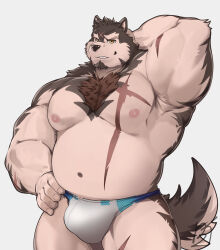 Rule 34 | 1boy, absurdres, animal ears, another eidos-r, arm behind head, armpits, bara, belly, billford (another eidos), bladetiger art, bulge, chest hair, commentary, commission, cross scar, dog boy, dog ears, dog tail, english commentary, fat, fat man, furry, furry male, grey background, hand on own hip, highres, looking at viewer, male focus, male swimwear, multiple scars, nipples, pectorals, scar, scar on arm, scar on chest, scar on face, scar on forehead, scar on stomach, smile, tail, topless male, white male swimwear, yellow eyes