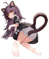 Rule 34 | 1girl, absurdres, ahoge, all fours, animal ear fluff, animal ears, bare legs, barefoot, black dress, bloomers, blush, closed mouth, dress, feet, from behind, full body, highres, long hair, looking at viewer, looking back, nahaki, original, puffy short sleeves, puffy sleeves, purple hair, short sleeves, simple background, soles, solo, tail, toes, transparent background, underwear, white bloomers, yellow eyes