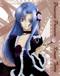 Rule 34 | 00s, blue hair, crossdressing, flower, kouno tooru, long hair, princess princess, trap