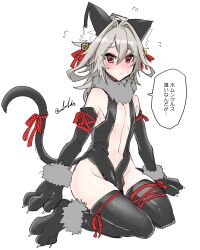 Rule 34 | 1boy, ahoge, animal ear fluff, animal ears, animal hands, arm ribbon, arm support, bare shoulders, bell, black leotard, blush, bow, bulge, cat ears, cat paws, cat tail, claws, clothing cutout, collar, ear bell, ear ribbon, fate/apocrypha, fate (series), flying sweatdrops, fur-trimmed gloves, fur-trimmed socks, fur collar, fur trim, gloves, grey collar, hair between eyes, hair intakes, hair rings, haoro, jingle bell, leg ribbon, leotard, linea alba, medium hair, navel, parted lips, paw gloves, paw socks, red eyes, red ribbon, ribbon, ribs, shirt, sieg (fate), signature, simple background, sitting, sleeveless, sleeveless shirt, solo, sweatdrop, tail, tail bow, tail ornament, tail ribbon, thigh ribbon, thighs, trap, wariza, white background