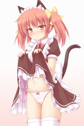 Rule 34 | 1girl, animal ears, blush, bow, cat ears, cat tail, clothes lift, dress, dress lift, hair ribbon, highres, holding, long hair, maid, maid headdress, original, panties, red eyes, red hair, ribbon, simple background, solo, tail, thighhighs, twintails, underwear, white background, white panties, white thighhighs, yuu (yu0221f)