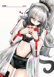 Rule 34 | 1girl, animal ear fluff, animal ears, arknights, averting eyes, belt, black belt, black scarf, black shorts, blush, box, breasts, cat ears, cat tail, cleavage, closed mouth, commentary request, cowboy shot, crop top, depayama (depaty), ear piercing, gift, gift box, hair between eyes, heart-shaped box, highres, holding, holding gift, jacket, large breasts, long hair, midriff, navel, open clothes, open jacket, piercing, ponytail, scarf, schwarz (arknights), see-through, short shorts, shorts, sidelocks, silver hair, solo, standing, striped clothes, striped scarf, tail, tail wagging, translation request, underbust, valentine, yellow eyes