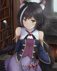 Rule 34 | animal ear fluff, animal ears, black hair, blush, bookshelf, cat ears, cat tail, commentary request, dargo, detached sleeves, gem, green eyes, karyl (princess connect!), long hair, looking at viewer, low twintails, multicolored hair, princess connect!, sleeveless, solo, tail, twintails, vest