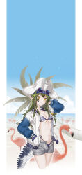 Rule 34 | 1girl, absurdres, arknights, arm up, beach, bestramos, bikini, bird, blue sky, breasts, cloud, commentary request, cropped legs, day, eyewear on head, flamingo, gavial (arknights), gavial the invincible (arknights), gavial the invincible (holiday) (arknights), green hair, grey shorts, hand in pocket, highres, jacket, long hair, looking at viewer, navel, official alternate costume, open clothes, open fly, open jacket, palm tree, short shorts, shorts, sky, small breasts, smile, solo, standing, stomach, sunglasses, swimsuit, thighs, tree, white headwear, yellow eyes