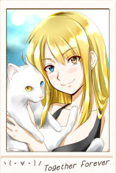 Rule 34 | &gt;:), 1girl, animal, black shirt, blonde hair, blue eyes, blush, cat, closed mouth, collarbone, commentary request, emoticon, english text, hair between eyes, head tilt, heterochromia, highres, holding, holding animal, holding cat, long hair, looking at viewer, original, shirt, smile, suzuki-shi, upper body, v-shaped eyebrows, white cat, yellow eyes