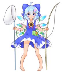 Rule 34 | &gt;:), 1girl, absurdres, ahoge, barefoot, blue bow, blue dress, blue eyes, blue hair, blush, bow, butterfly net, cirno, dress, fishing rod, flower, frilled sleeves, frills, full body, hair between eyes, hair bow, hair flower, hair ornament, hand net, hidden star in four seasons, highres, ice wing, looking at viewer, mofu mofu, morning glory, neck ribbon, puffy short sleeves, puffy sleeves, red ribbon, ribbon, short hair, short sleeves, solo, sparkling eyes, sunflower, tanned cirno, touhou, v-shaped eyebrows, white background