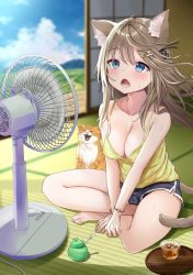 Rule 34 | 1girl, ahoge, akino ell, animal, animal ear fluff, animal ears, bare arms, bare shoulders, barefoot, black shorts, blue eyes, breasts, brown hair, camisole, cat, cat ears, cat girl, cat tail, cleavage, collarbone, covered erect nipples, cup, dolphin shorts, electric fan, hair ornament, hairclip, highres, hot, indian style, long hair, medium breasts, open mouth, original, revision, shirt, short shorts, shorts, sitting, sleeveless, sleeveless shirt, solo, spaghetti strap, summer, sunlight, sweat, tail, tatami, thighs, v arms, veranda, yellow shirt