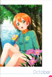 Rule 34 | 10s, 1girl, absurdres, blush, bottle, flower, green eyes, highres, holding, hoshizora rin, jacket, looking at viewer, love live!, love live! school idol festival, love live! school idol project, non-web source, october, official art, open mouth, orange hair, scan, short hair, sitting, sleeves rolled up, solo, sweat, track jacket, tree, water bottle