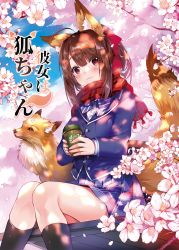 Rule 34 | 1girl, :3, ahoge, animal, animal ear fluff, animal ears, black socks, blazer, blue jacket, blue skirt, blue sky, blush, bow, branch, brown hair, cherry blossoms, closed mouth, cloud, coffee cup, commentary request, cup, day, disposable cup, flower, fox, fox ears, fox girl, fox tail, hair between eyes, hair bow, head tilt, highres, holding, holding cup, jacket, kneehighs, knees together feet apart, long sleeves, looking at viewer, original, outdoors, petals, pink flower, plaid, plaid scarf, plaid skirt, pleated skirt, red bow, red eyes, red scarf, scarf, school uniform, sidelocks, skirt, sky, socks, solo, tail, tail raised, translation request, usagihime