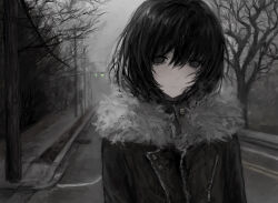 Rule 34 | 1girl, absurdres, bare tree, chan8016, closed mouth, coat, empty eyes, fog, fur-trimmed jacket, fur trim, greyscale, highres, jacket, looking at viewer, monochrome, original, overcast, road, sad, sky, solo, spot color, street, traffic light, tree, winter clothes, winter coat