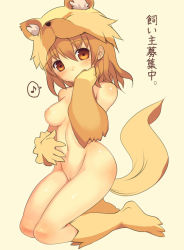 Rule 34 | 1girl, animal hat, blush, breasts, brown eyes, brown hair, covering face, covering own mouth, covering privates, fireflysnow, fox tail, hat, kneeling, medium breasts, moonlight flower, musical note, navel, nipples, nude, nude cover, pussy, quaver, ragnarok online, simple background, solo, speech bubble, spoken musical note, tail, uncensored, yellow background