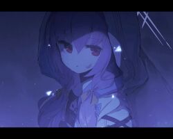 Rule 34 | 1girl, animated, animated gif, arca.live (website), atsuko (blue archive), blue archive, braid, ememo, halo, jacket, looking at viewer, purple hair, solo, twin braids, white hood, white jacket