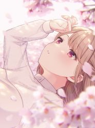 Rule 34 | 1girl, arm up, blurry, blurry background, blurry foreground, blush, brown hair, commentary request, depth of field, flower, looking away, lying, on back, original, parted lips, petals, pink flower, red eyes, shiromikan, shirt, solo, upper body, white shirt