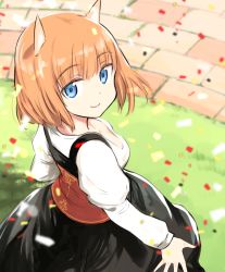 Rule 34 | 10s, 1girl, alternate costume, animal ears, blue eyes, brave witches, brick floor, brown hair, commentary, confetti, dirndl, dress, german clothes, grass, gundula rall, looking at viewer, looking back, short hair, smile, solo, tsuchii (ramakifrau), wolf, wolf ears, world witches series