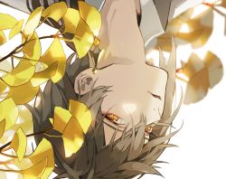 Rule 34 | 1boy, brown hair, commentary request, eyeliner, genshin impact, ginkgo leaf, hair between eyes, korean commentary, leaf, looking at viewer, makeup, male focus, parted lips, simple background, solo, starim04, upside-down, white background, yellow eyes, zhongli (genshin impact)