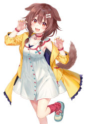 Rule 34 | 1girl, :3, animal collar, animal ears, blush, bone hair ornament, bracelet, braid, brown eyes, brown hair, buttons, cartoon bone, claw pose, collar, collarbone, commentary, dog ears, dog girl, dog tail, dot nose, dress, fangs, feet out of frame, fukahire (ruinon), hair between eyes, hair ornament, hairclip, hololive, inugami korone, inugami korone (1st costume), jacket, jewelry, long hair, looking at viewer, loose socks, low twin braids, nail polish, off-shoulder jacket, off shoulder, open mouth, red collar, red socks, shoes, short dress, simple background, sneakers, socks, solo, standing, standing on one leg, tail, twin braids, virtual youtuber, white background, white dress, wristband, yellow jacket, yellow nails