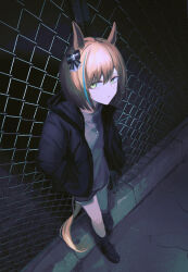 Rule 34 | 1girl, alternate costume, animal ears, black footwear, black jacket, black socks, bow, brown hair, chain-link fence, fence, green eyes, grey shirt, hair bow, hands in pockets, highres, hood, hooded jacket, horse ears, horse girl, horse tail, jacket, jewelry, little cocon (umamusume), long sleeves, looking at viewer, multicolored hair, necklace, night, open clothes, open jacket, outdoors, parted lips, seikatsu, shirt, shoes, short hair, sneakers, socks, solo, standing, streaked hair, tail, umamusume