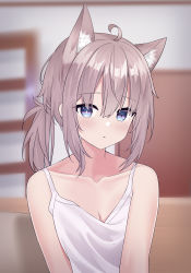 Rule 34 | 1girl, absurdres, ahoge, animal ears, bare shoulders, blue archive, blue eyes, blurry, blurry background, blush, breasts, brown hair, cat ears, cleavage, closed mouth, collarbone, depth of field, highres, indoors, looking at viewer, mismatched pupils, nagisa (cxcx5235), shiroko (blue archive), shirt, short hair, short ponytail, sleeveless, sleeveless shirt, small breasts, solo, upper body, white shirt