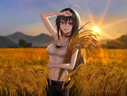Rule 34 | 1girl, :d, ahoge, arm up, bare arms, black hair, black pants, blurry, blurry background, breasts, cleavage, collarbone, fate/empire of dirt, game cg, groin, hair between eyes, holding, liu xiu (fate/empire of dirt), long hair, looking at viewer, medium breasts, midriff, mountainous horizon, multicolored hair, navel, open mouth, outdoors, pants, red eyes, red hair, shirt, sleeveless, sleeveless shirt, smile, solo, standing, stomach, sun, sunlight, tied shirt, tsuki tokage, two-tone hair, very long hair, wheat field, white shirt