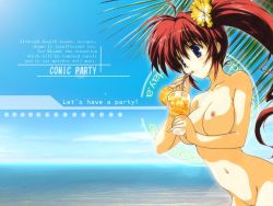 Rule 34 | 00s, 1girl, beach, comic party, cowboy shot, day, english text, engrish text, nude, nude filter, pussy, ranguage, red hair, side ponytail, solo, takase mizuki, third-party edit, twintails, uncensored