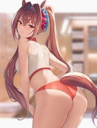 Rule 34 | 1girl, animal ears, ass, bare shoulders, blurry, blurry background, breasts, brown hair, building, commentary request, cowboy shot, crop top, daiwa scarlet (umamusume), day, depth of field, glaring, hair between eyes, hair intakes, highres, horse ears, horse girl, horse tail, large breasts, leaning forward, light blush, long hair, looking at viewer, looking back, oni kanzei, orange panties, outdoors, panties, parted lips, red eyes, solo, standing, tail, tank top, tiara, umamusume, underwear, v-shaped eyebrows, very long hair, white tank top