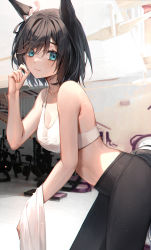 Rule 34 | 1girl, absurdres, animal ears, bad id, bad pixiv id, bare shoulders, black hair, black pants, blue eyes, blurry, blurry background, blush, breasts, cleavage, commentary request, eishin flash (umamusume), gym, hair between eyes, highres, holding, holding towel, horse ears, horse girl, horse tail, looking at viewer, medium breasts, midriff, minttchocok, pants, short hair, solo, sports bra, tail, towel, umamusume, weight machine, weights, white sports bra, yoga pants