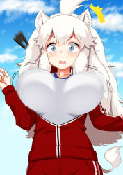 Rule 34 | 1girl, animal ears, breasts, bursting breasts, cloud, cloudy sky, commentary request, d-frag!, grey eyes, gym uniform, highres, jacket, kemono friends, large breasts, lion ears, lion girl, lion tail, long hair, open mouth, outdoors, pants, sky, solo, tail, track jacket, track pants, track suit, washinomiya, white lion (kemono friends)