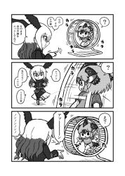 Rule 34 | bald eagle (kemono friends), bird tail, bird wings, boots, comic, greater roadrunner (kemono friends), greyscale, hamster wheel, head wings, highres, kemono friends, kemono friends pavilion, kotobuki (tiny life), long hair, long sleeves, looking at another, monochrome, pantyhose, playground equipment (kemono friends pavilion), pleated skirt, running, shirt, shoes, short hair, short sleeves, shorts, skirt, sneakers, standing, standing on one leg, t-shirt, translation request, uniform, waving, wings