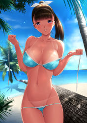 Rule 34 | 1girl, beach, bikini, bikini tan, black hair, blue bikini, breasts, cloud, collarbone, day, dragon@harry, highres, large breasts, long hair, looking at viewer, navel, original, outdoors, palm tree, parted lips, polka dot, polka dot bikini, polka dot swimsuit, ponytail, purple eyes, revision, shiny skin, sky, solo, stomach, swimsuit, tan, tanline, thigh gap, tree, untied