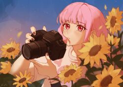 Rule 34 | 1girl, black nails, blunt bangs, blush, camera, chestnut mouth, eyelashes, field, flower, flower field, highres, holding, holding camera, hololive, hololive english, looking at viewer, mori calliope, pink bracelet, pink hair, red eyes, shai owl, shirt, sunflower, sunflower field, sunset, virtual youtuber, white shirt