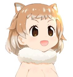 Rule 34 | 10s, 1girl, :d, animal ears, black-tailed prairie dog (kemono friends), blush, breasts, brown eyes, cleavage, commentary request, dog ears, female focus, fur collar, kemono friends, large breasts, light brown hair, multicolored hair, mushi gyouza, open mouth, portrait, short hair, simple background, smile, solo, topless frame, two-tone hair, upper body, white background