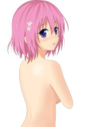 Rule 34 | 1girl, aki99, back, blush, breasts, covering privates, covering breasts, flower, from behind, hair flower, hair ornament, highres, looking back, momo velia deviluke, nude, open mouth, pink hair, purple eyes, short hair, solo, to love-ru, vector trace