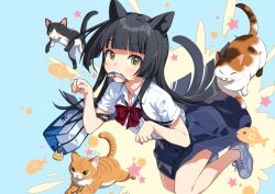 Rule 34 | 1girl, animal, animal ears, bag, black hair, blue skirt, blunt bangs, bow, bowtie, cat, cat ears, cat girl, cat tail, collared shirt, fish, highres, long hair, looking at viewer, mouth hold, original, paw pose, pleated skirt, red bow, red bowtie, salt (salty), school uniform, shirt, shoes, short sleeves, skirt, sneakers, solo, star (symbol), tail, whiskers, white footwear, white shirt, yellow eyes