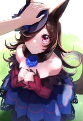 Rule 34 | 1girl, absurdres, animal ears, bare shoulders, black hair, blue dress, blue flower, blue headwear, blue rose, blush, breasts, closed mouth, commentary request, dress, flower, hair over one eye, hands up, hat, hat flower, headpat, highres, horse ears, horse girl, horse tail, long hair, long sleeves, looking at viewer, off-shoulder dress, off shoulder, out of frame, purple eyes, rice shower (umamusume), rose, sleeves past wrists, small breasts, smile, solo focus, tail, tilted headwear, twitter username, umamusume, very long hair, yayoi maka