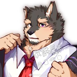 Rule 34 | 1boy, animal ears, bara, christory yyb, collared shirt, dog boy, dog ears, facial hair, furry, furry male, goatee, highres, jacket, light blush, live a hero, looking at viewer, male focus, mature male, muscular, muscular male, necktie, open clothes, open jacket, profile picture, pubraseer (live a hero), purple eyes, red necktie, salaryman, sample watermark, shirt, short hair, solo, thick eyebrows, undressing, upper body, watermark