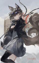 Rule 34 | 1girl, adjusting hair, alternate costume, alternate hairstyle, ambience synesthesia, animal ears, arknights, arm up, artistic error, black jacket, black thighhighs, blue-tinted eyewear, breasts, brown hair, cleavage, commentary request, copyright name, corrupted twitter file, dress, feet out of frame, grey dress, grey sky, hair over one eye, highres, jacket, large breasts, medium breasts, official alternate costume, official alternate hairstyle, outdoors, penance (arknights), single thighhigh, sky, solo, sunglasses, tail, thighhighs, tinted eyewear, vidoakdame, wolf ears, wolf girl, wolf tail, yellow eyes