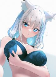 Rule 34 | 1girl, absurdres, animal ear fluff, animal ears, arm at side, arm under breasts, black bra, blue archive, blue eyes, blue hair, blurry, blush, bra, breasts, bright pupils, cat ears, closed mouth, collarbone, colored inner hair, commentary, flying sweatdrops, from below, grey hair, highres, kazane-wind, looking at viewer, looking down, medium breasts, medium hair, mismatched pupils, multicolored hair, nursing bra, shiroko (blue archive), slit pupils, solo, underwear, upper body, white pupils