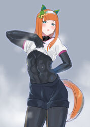 Rule 34 | 1girl, absurdres, alternate costume, animal ears, aqua eyes, black bodysuit, black shorts, bodysuit, clothes lift, commentary request, cowboy shot, doushi tatsu to dekkai no, ear covers, grey background, hair ornament, hairband, highres, hime cut, horse ears, horse girl, horse tail, lifted by self, looking at viewer, open mouth, orange hair, puffy short sleeves, puffy sleeves, shirt, shirt lift, short sleeves, shorts, silence suzuka (umamusume), simple background, solo, steaming body, tail, umamusume, white hairband, white shirt