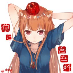 Rule 34 | 1girl, animal ears, ao68, apple, apple on head, arms behind head, bad id, bad twitter id, brown hair, fang, food, food on head, fruit, fruit on head, holo, long hair, looking at viewer, object on head, pouch, red apple, red eyes, solo, spice and wolf, twitter username, upper body, very long hair, white background, wide sleeves, wolf ears