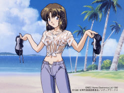 Rule 34 | 1990s (style), 1996, 1girl, beach, blue eyes, blush, bow, bow panties, breasts, brown hair, cloud, collarbone, day, embarrassed, holding, holding shoes, lilith (megami paradise), looking at viewer, megami paradise, navel, nipples, no bra, ocean, official art, open mouth, outdoors, panties, pants, parted bangs, retro artstyle, see-through, see-through shirt, shirt, shoes, short hair, sky, solo, standing, tied shirt, tree, underwear, wet, wet clothes, wet hair, wet shirt, yamauchi noriyasu
