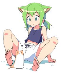 Rule 34 | 1girl, animal, animal ear fluff, animal ears, arm support, bare arms, bare shoulders, barefoot, blue eyes, blue tank top, cat, colored shadow, green hair, highres, long hair, low twintails, navel, original, roku no hito, sexually suggestive, shadow, short shorts, shorts, soles, solo, spread legs, tank top, twintails, white background, white shorts